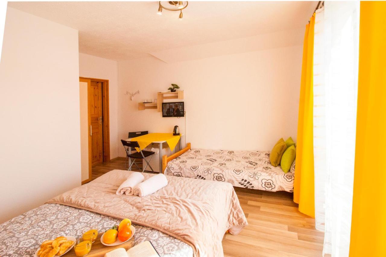 Bieszczadzki Brat Apartamenty Polańczyk المظهر الخارجي الصورة